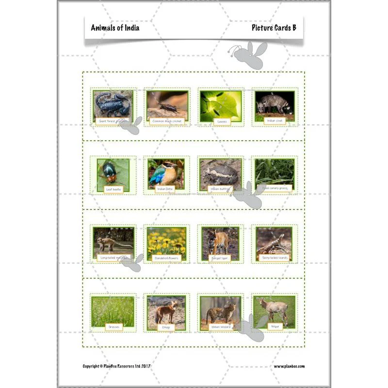 Product image 65