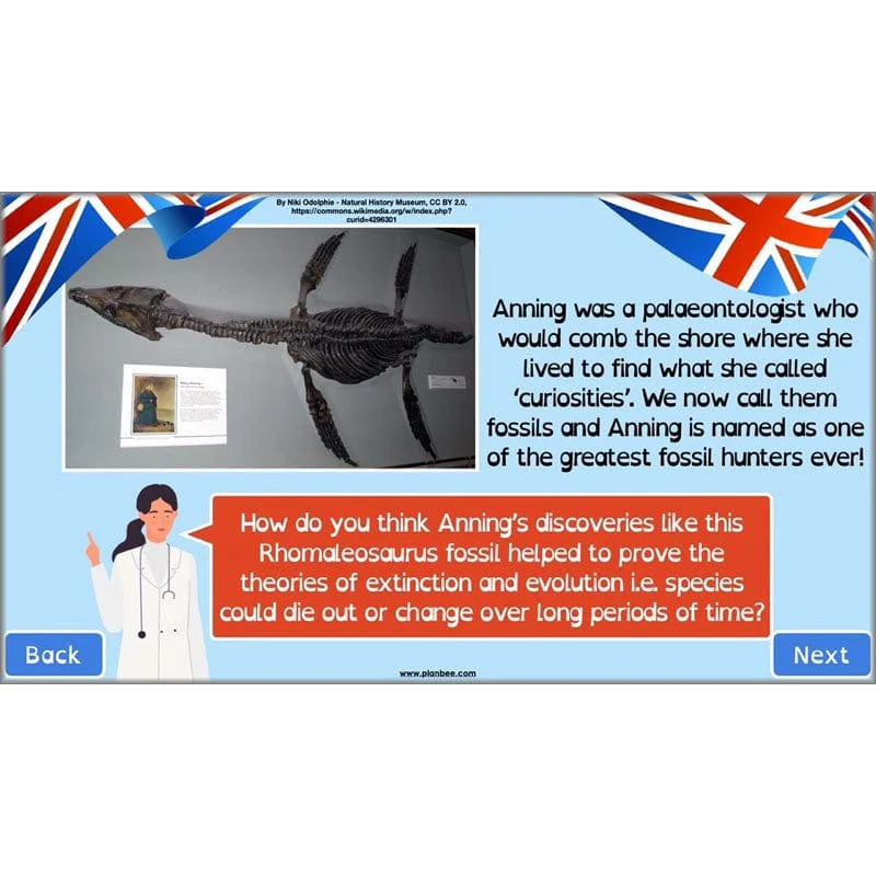 Product image 47