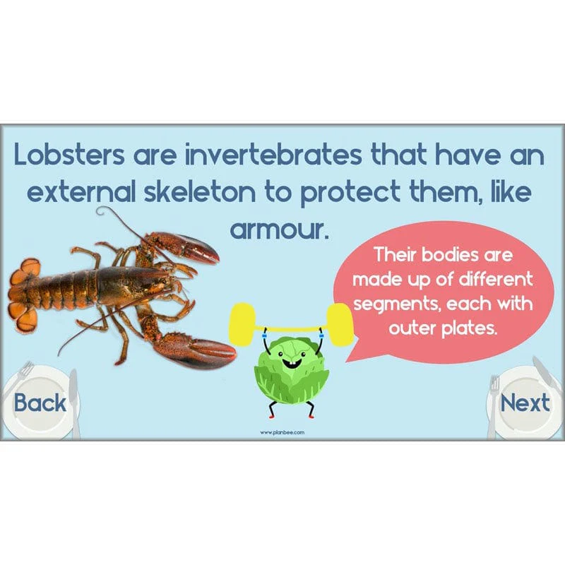 Product image 69