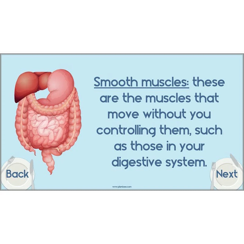 Product image 74
