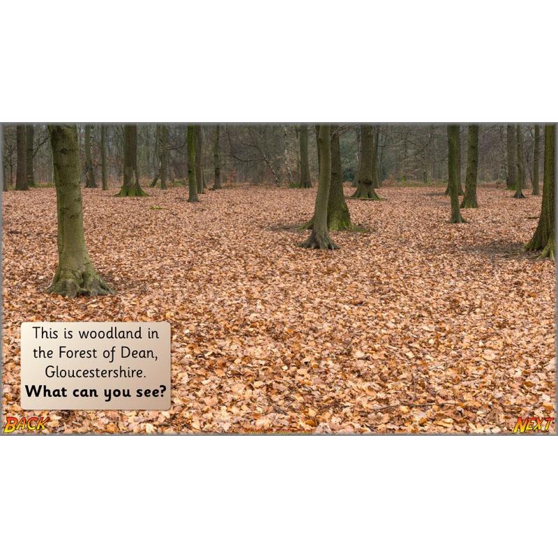 Product image 57