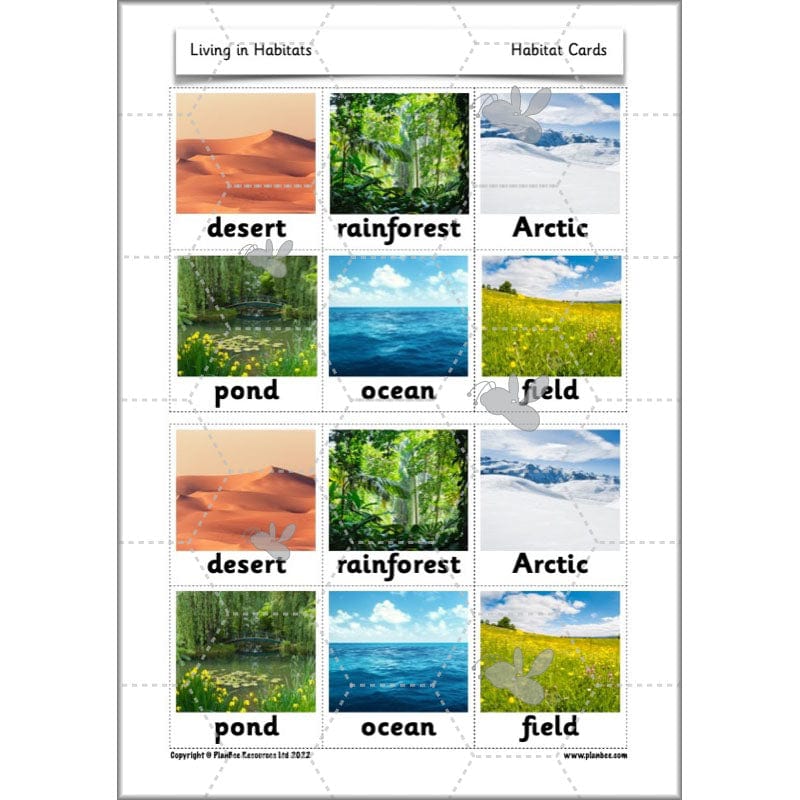 Product image 51