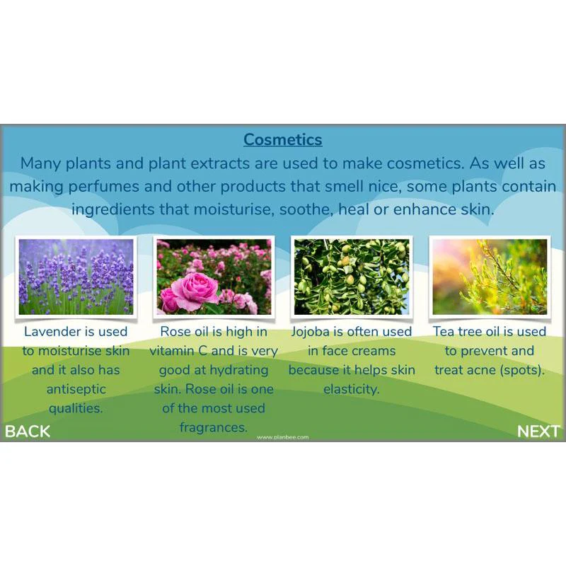 Product image 56