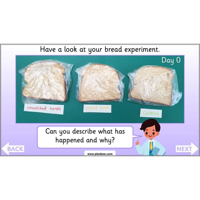 Product image 62