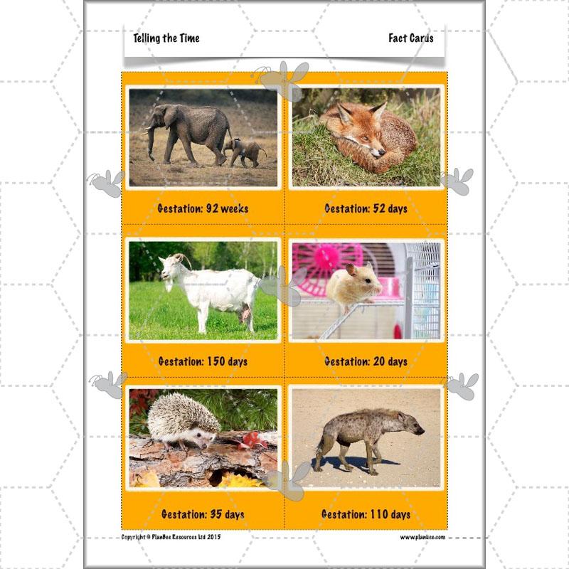 Product image 71