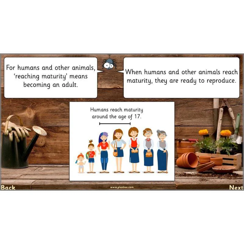 Product image 57